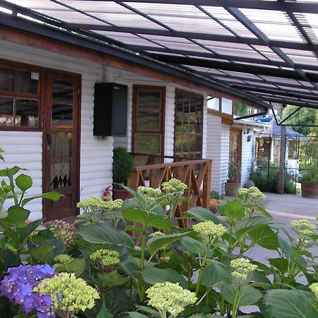 Complejo Cabanas Petalos Villarrica Dış mekan fotoğraf