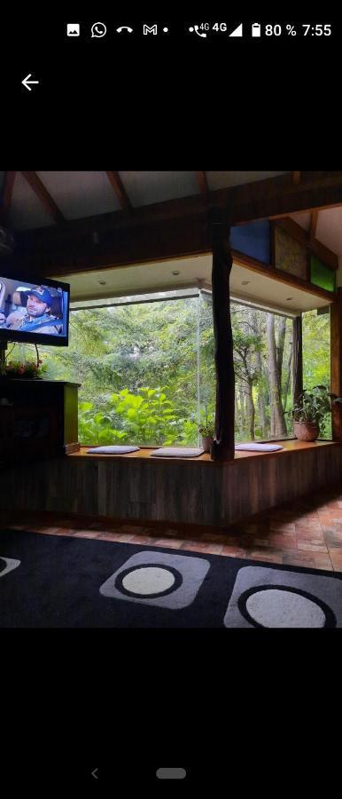 Complejo Cabanas Petalos Villarrica Dış mekan fotoğraf