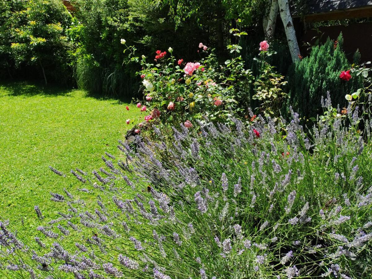 Complejo Cabanas Petalos Villarrica Dış mekan fotoğraf