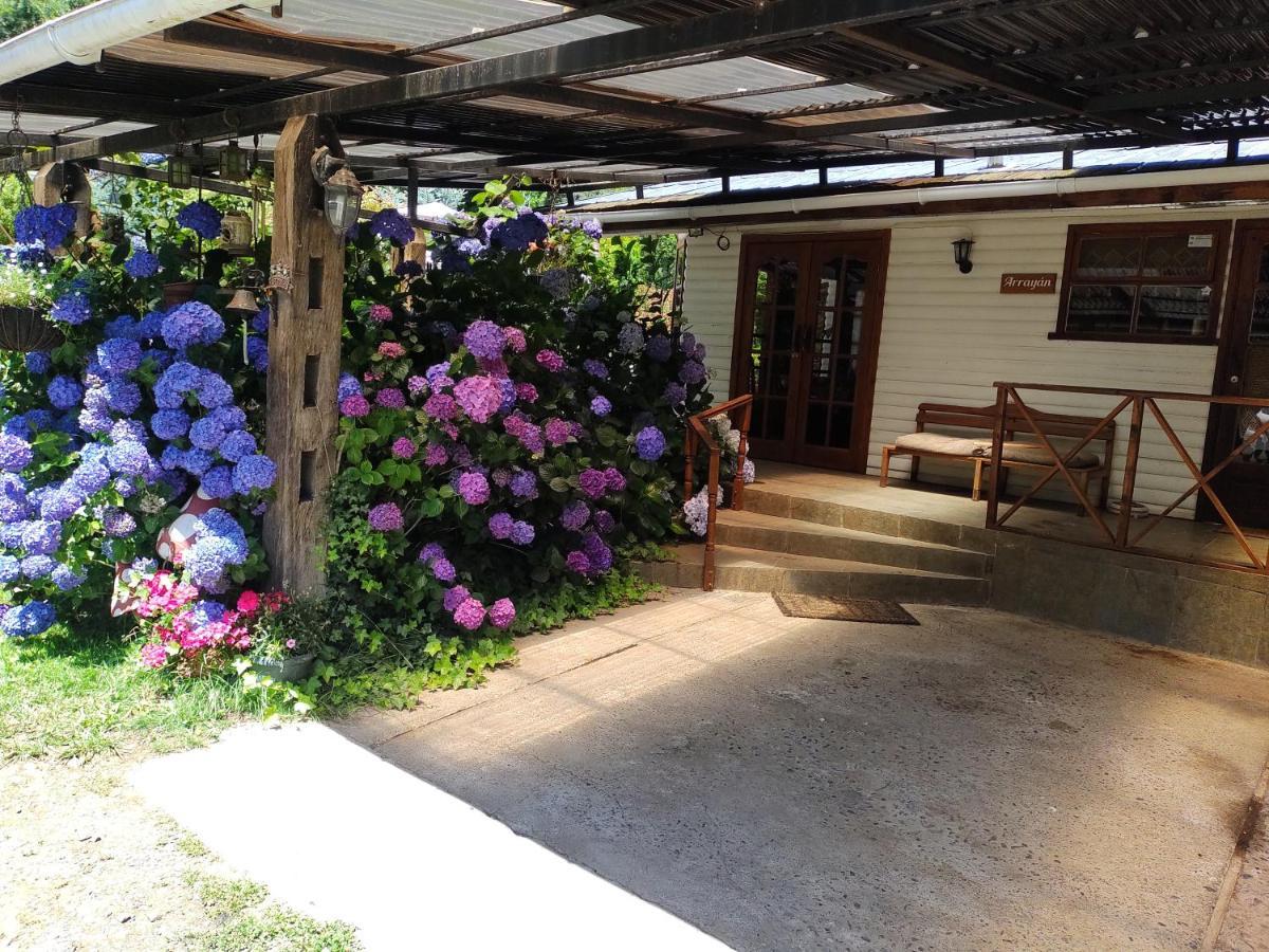 Complejo Cabanas Petalos Villarrica Dış mekan fotoğraf
