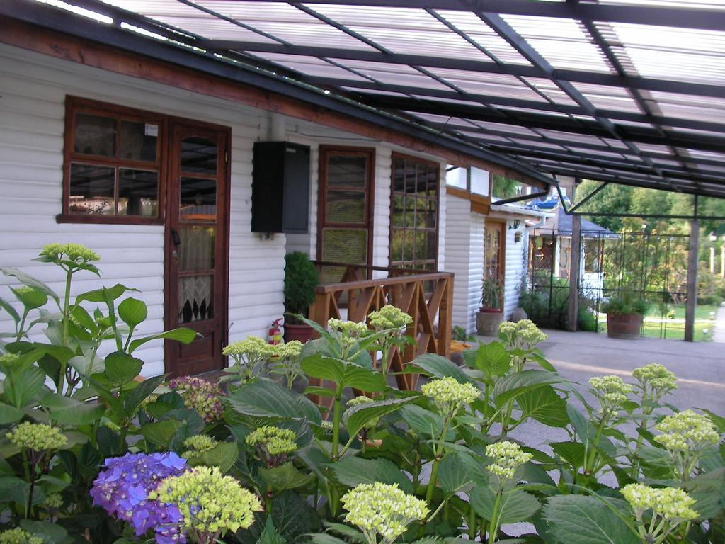 Complejo Cabanas Petalos Villarrica Dış mekan fotoğraf