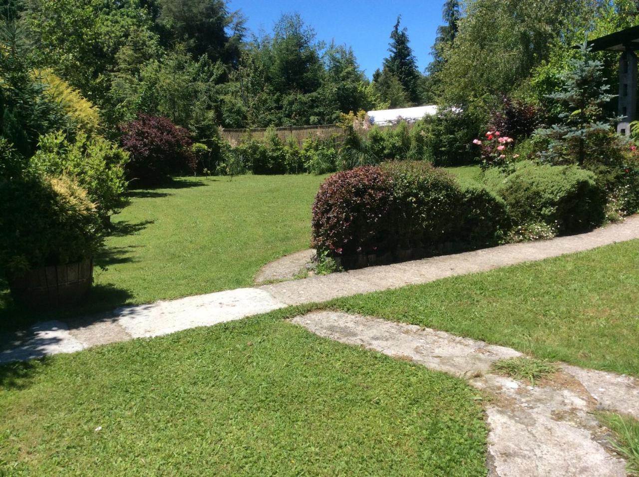 Complejo Cabanas Petalos Villarrica Dış mekan fotoğraf